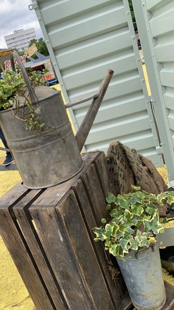 Watering Can & Ivy